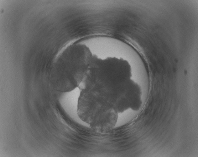 X0000066080155200603311944