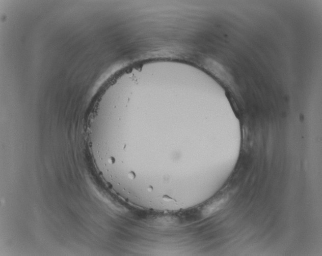 X0000066080156200603311944