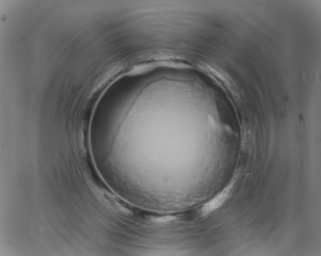 X0000066080158200603311944