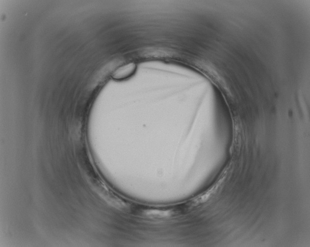 X0000066080159200603311944