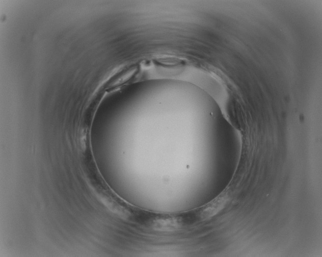 X0000066080160200603311944