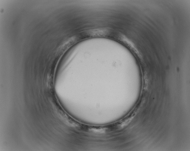 X0000066080161200603311944