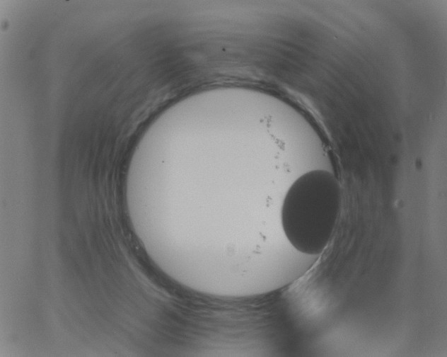 X0000066080162200603311944