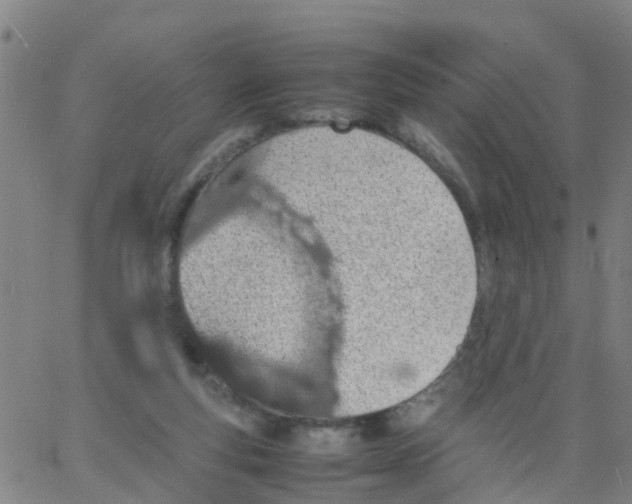 X0000066080163200603311944