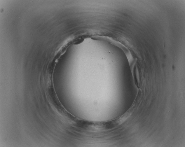 X0000066080164200603311944