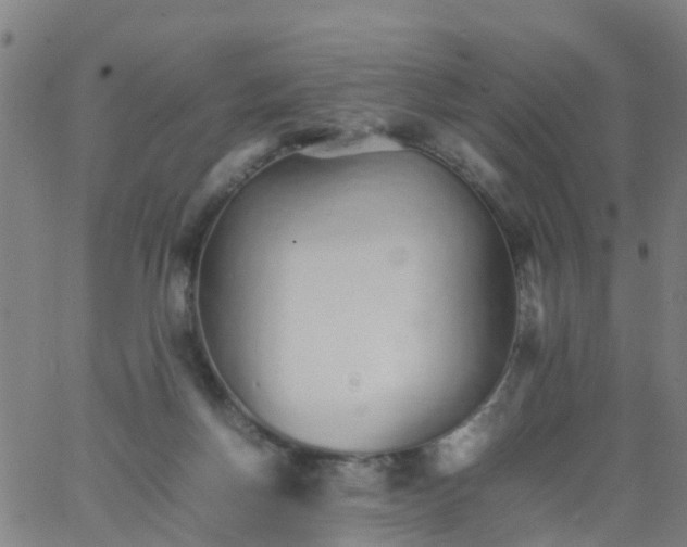 X0000066080166200603311944