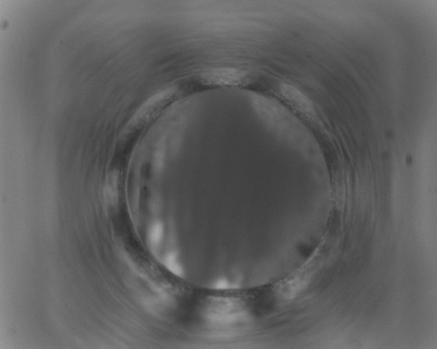 X0000066080167200603311944