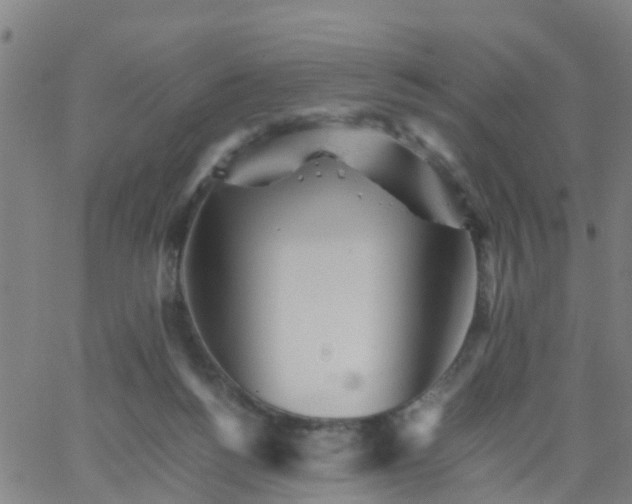 X0000066080168200603311944