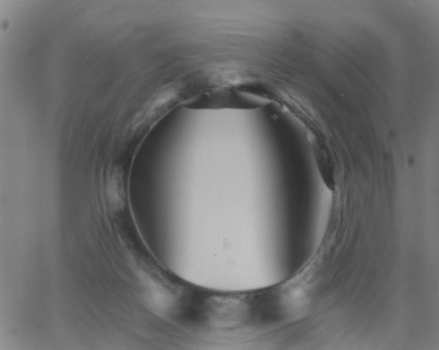 X0000066080170200603311944