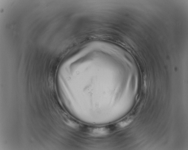 X0000066080173200603311944