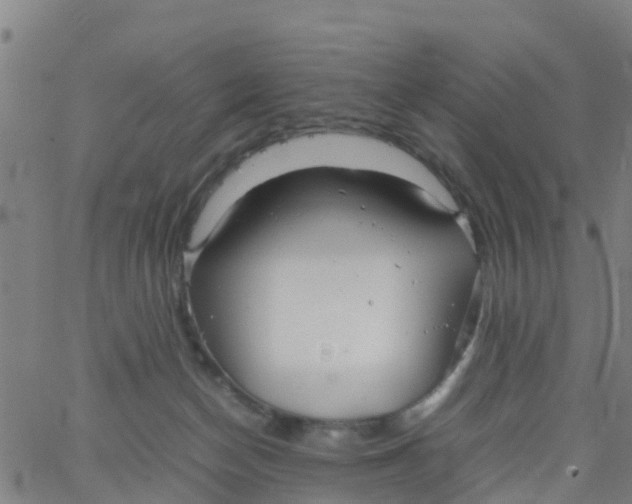 X0000066080174200603311944