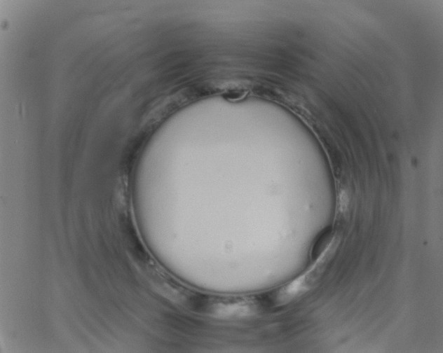 X0000066080175200603311944