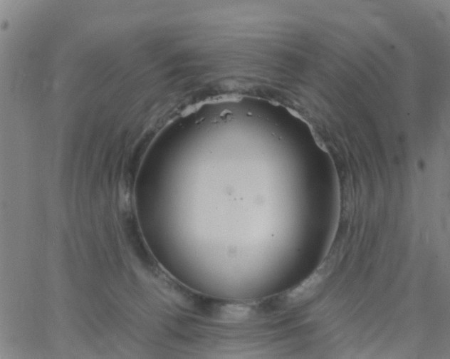 X0000066080176200603311944