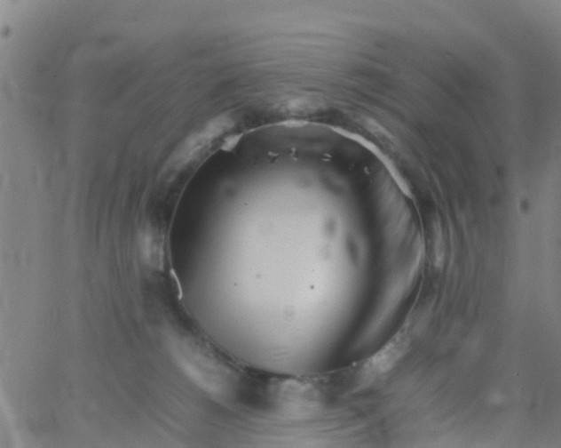 X0000066080180200603311944