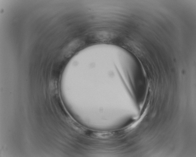 X0000066080182200603311944