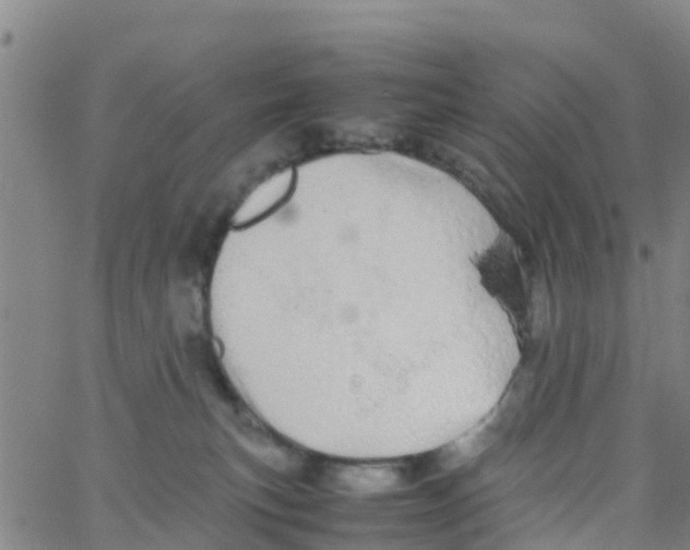 X0000066080183200603311944