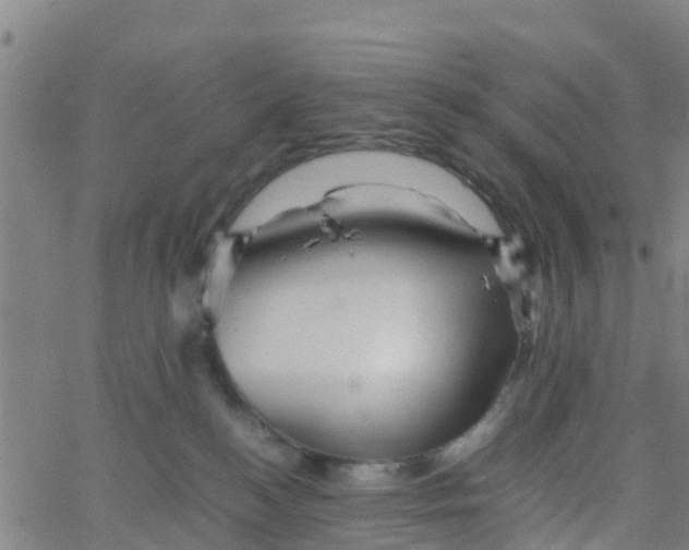 X0000066080184200603311944