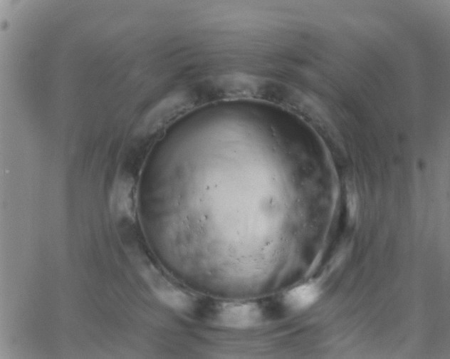 X0000066080185200603311944