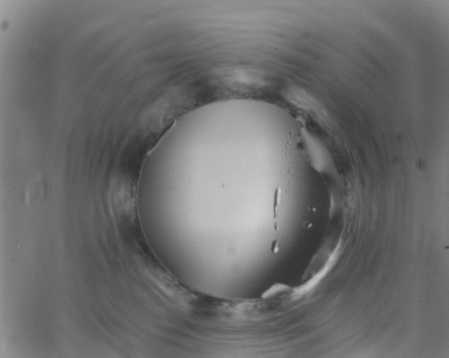 X0000066080186200603311944