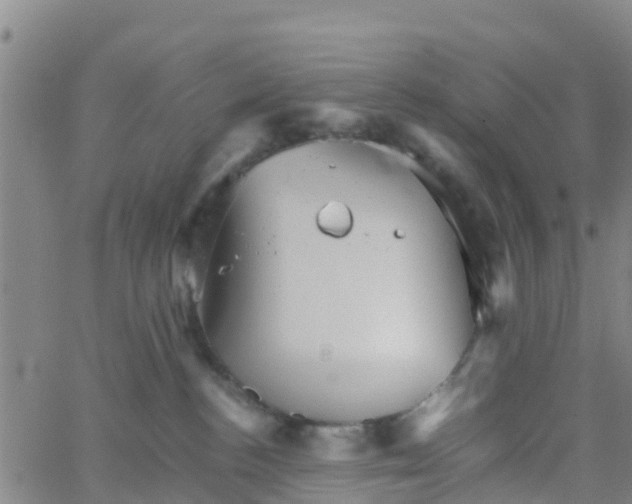 X0000066080188200603311944