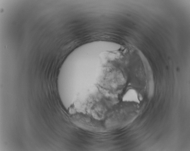 X0000066080189200603311944