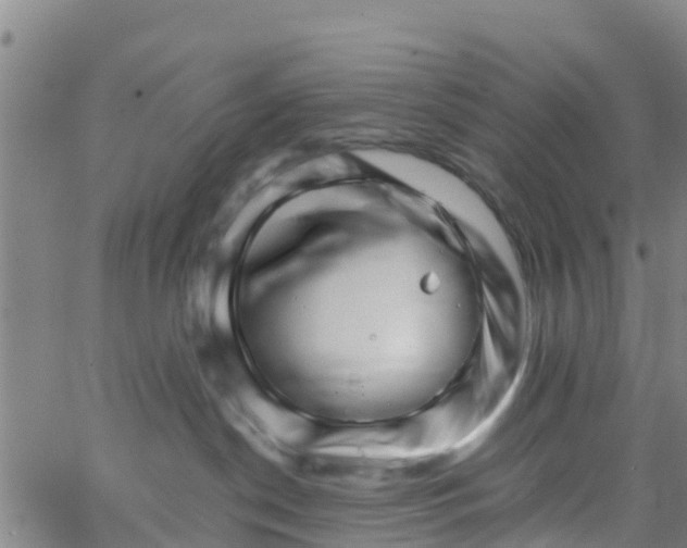 X0000066080190200603311944