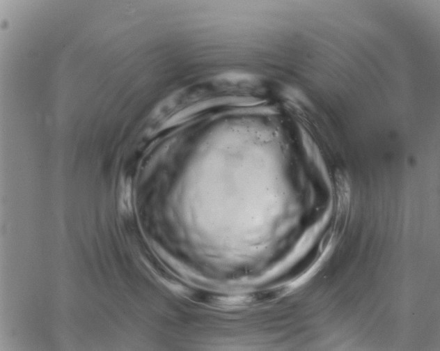 X0000066080191200603311944