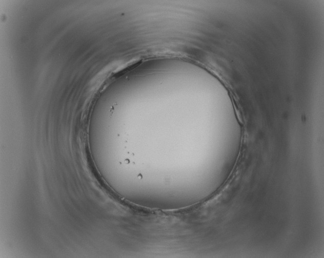 X0000066080193200603311944