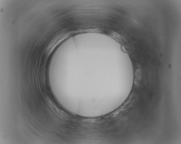 X0000066080194200603311944