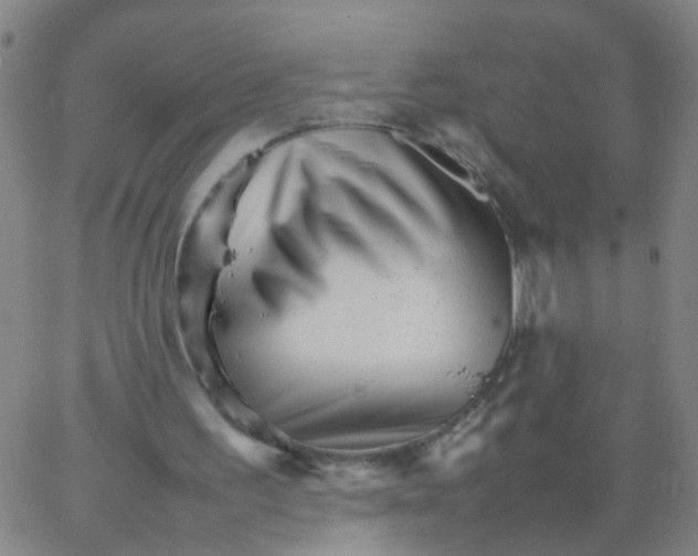 X0000066080195200603311944