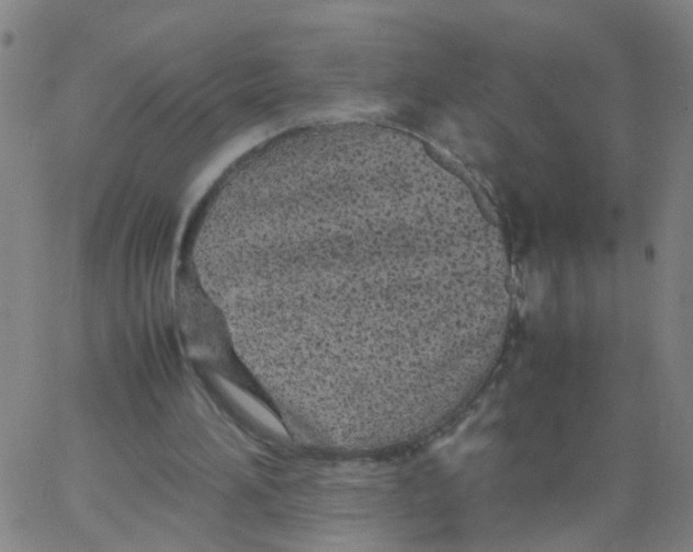 X0000066080196200603311944