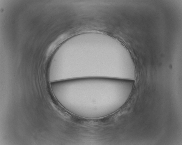 X0000066080197200603311944