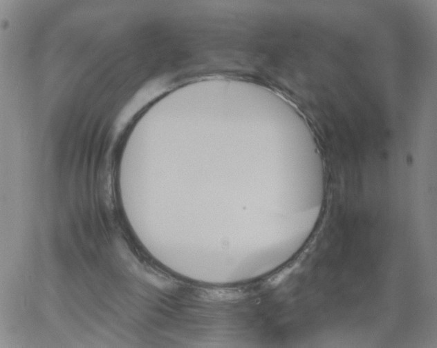 X0000066080198200603311943