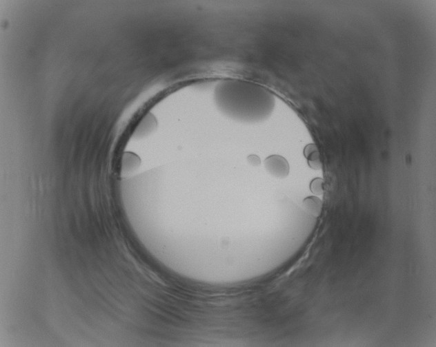 X0000066080200200603311943