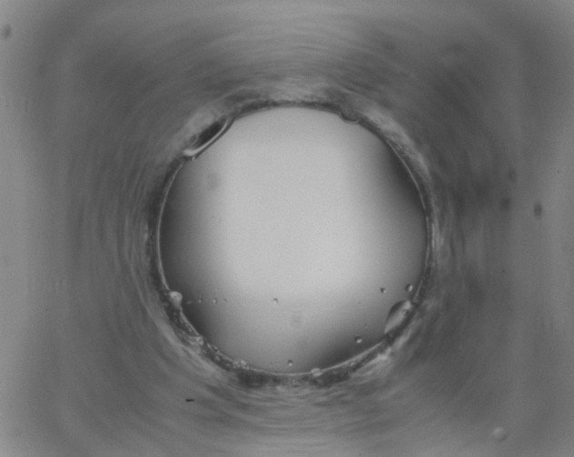 X0000066080201200603311943