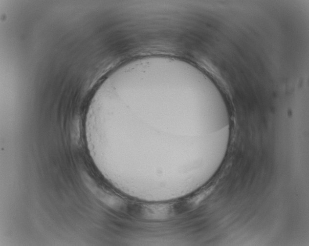 X0000066080202200603311943