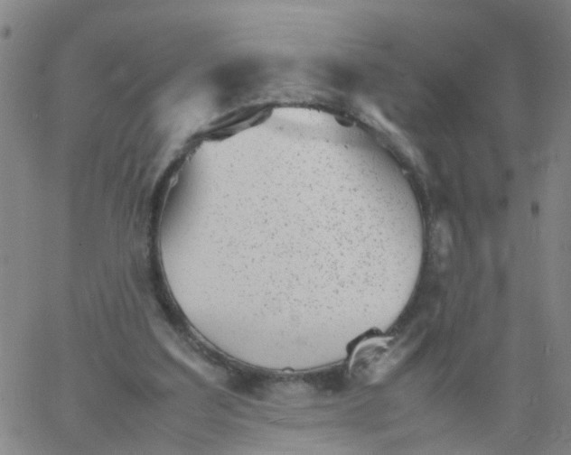 X0000066080203200603311943