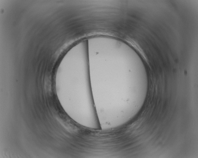 X0000066080204200603311943