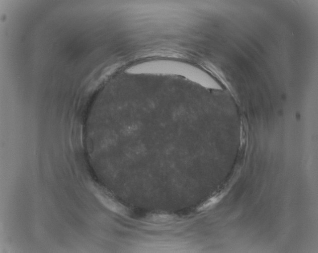 X0000066080205200603311943