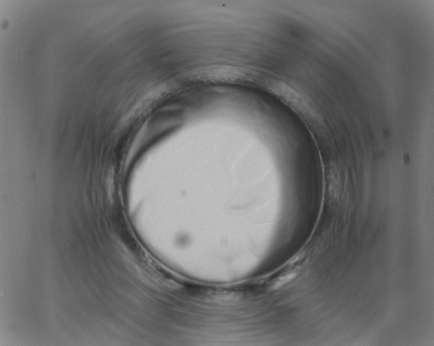 X0000066080206200603311943