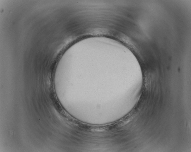 X0000066080208200603311943