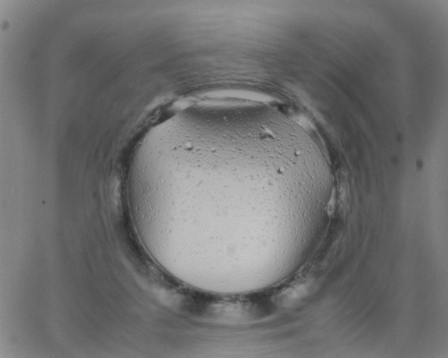 X0000066080211200603311943