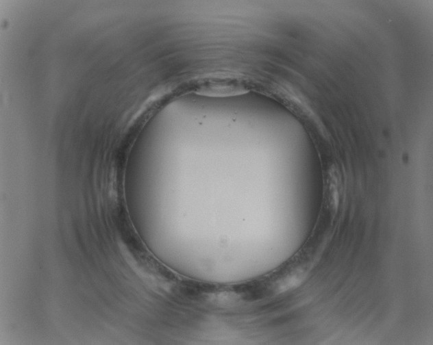 X0000066080212200603311943