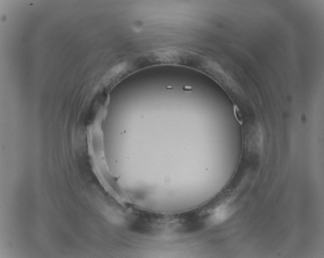 X0000066080213200603311943