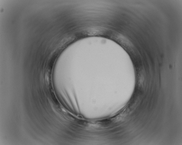 X0000066080214200603311943