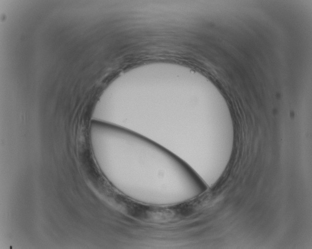 X0000066080215200603311943