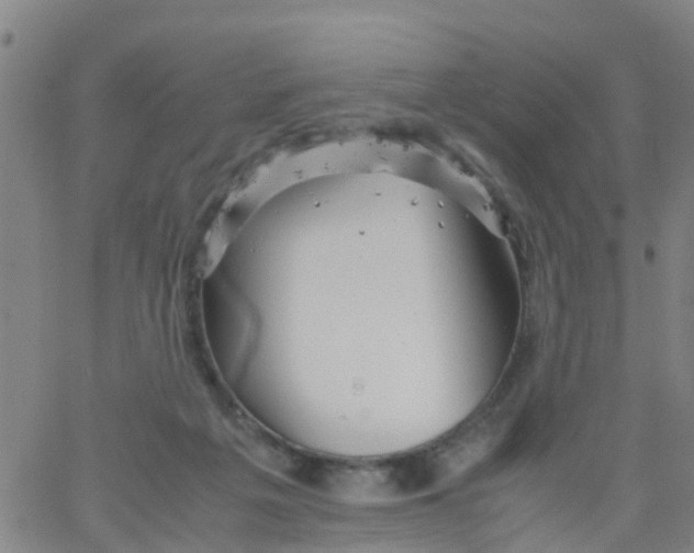 X0000066080217200603311943