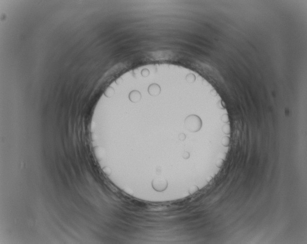 X0000066080220200603311943