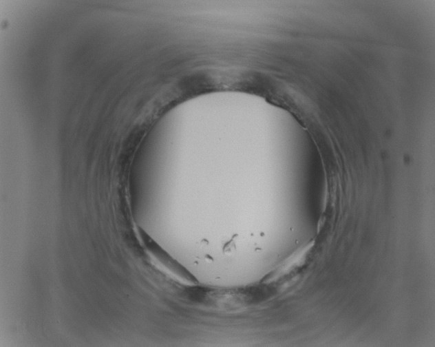 X0000066080221200603311943