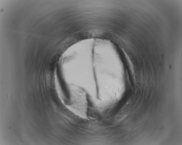 X0000066080222200603311943